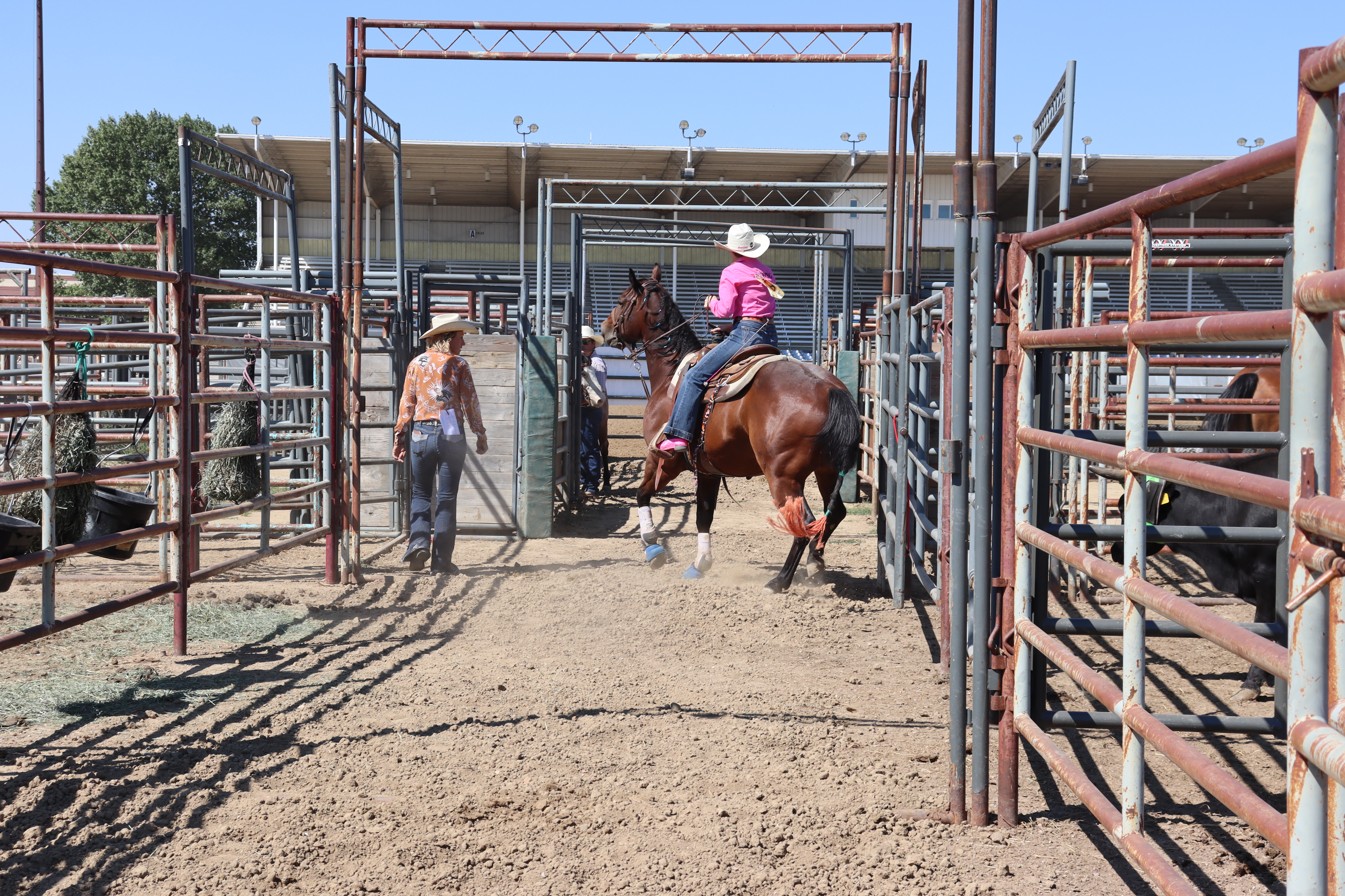 A student athlete heads down the alley at the Energy Capital Rodeo in Gillette, WY.