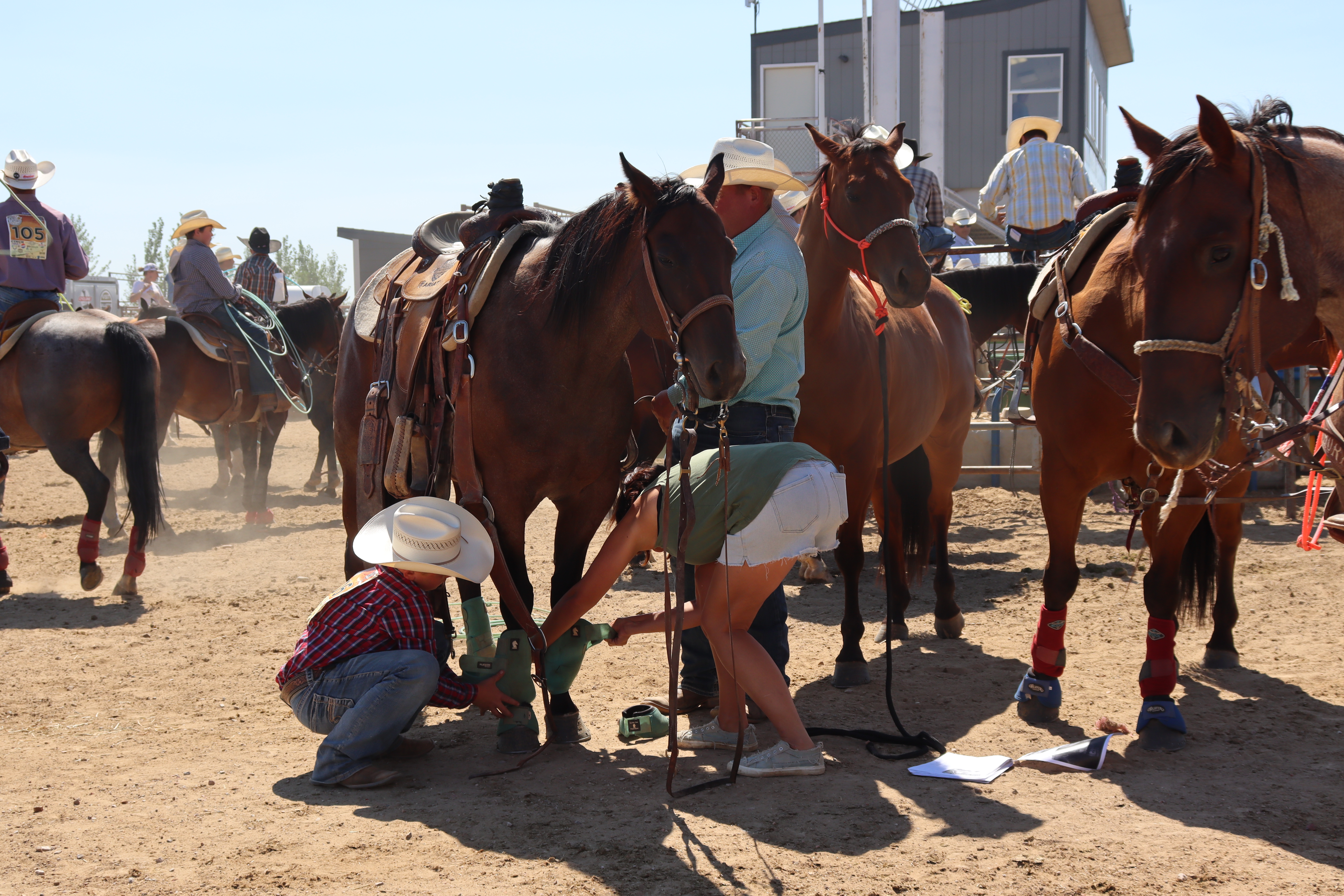 People preparing horses with protective boots in a sunny, dusty outdoor setting. Riders in cowboy hats and casual attire, horses calm.