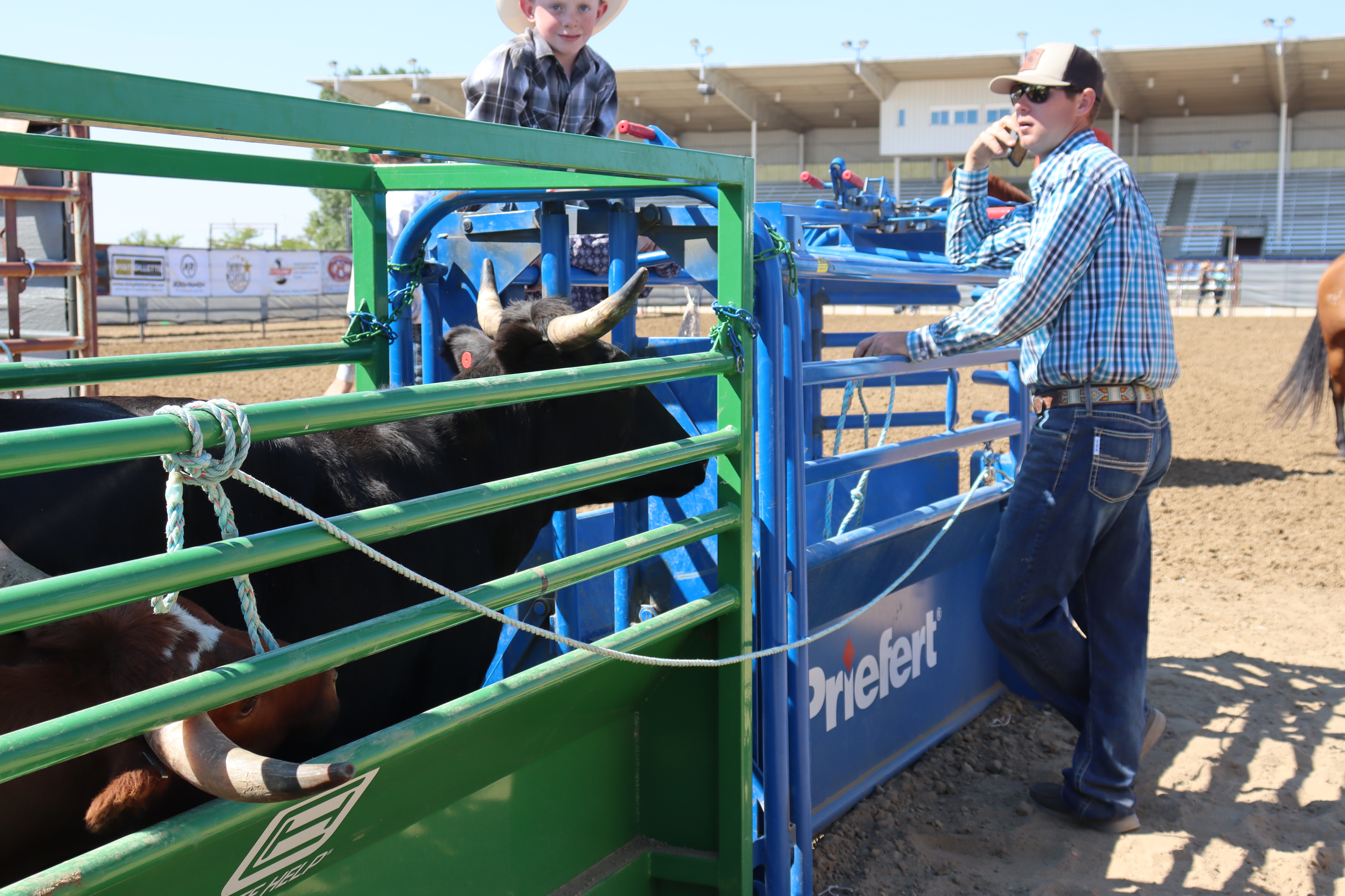 The chutes are loaded at the Energy Capital Rodeo in Gillette, WY.